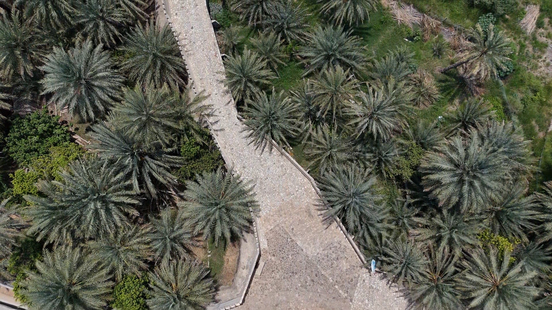 Al Hillah Fort